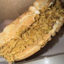 박지운 | 인생 회피? 인생 happy?? 뭐 그런거