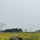 쌍둥이어린이공원 | 제주 말타기 체험 어린이도 가능한 조랑말체험공원