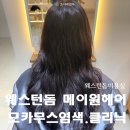 지성헤어크리닉 | 웨스턴돔미용실 추천 메이원헤어 지성원장 모카무스 염색 클리닉 후기