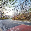 도구머리공원1-15 이미지