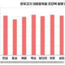 모과 칼로리 모과청 모과차 이미지