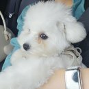 (주)안동터미널 이미지