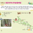 원호 묘역 | 원주소풍길 9코스 섬강자작나무숲둘레길 (2024.9.19.)
