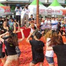 토마토 수영장 이미지