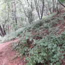 덕산 약수터 이미지