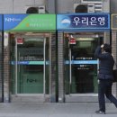 은행유치원 이미지