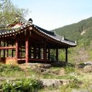 구미정 네이버블로그