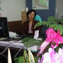 회원공인중개사사무소 이미지