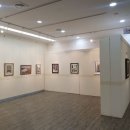 217 이미지