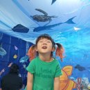 바다속이야기 이미지