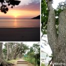 호텔반월 이미지