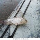 신봉 낚시터 이미지