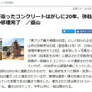 일제가 콘크리트로 덮은 "미륵사지 석탑" 복원 , 일본반응 이미지