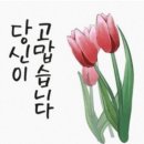 🌿⚘️언제나 좋은 인연으로 살고 싶다면 이미지