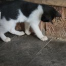 송원농장 이미지