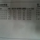 추성훈 같은 몸을 만들고 싶습니다. 현재 운동방법에 대해 날카로운 조언 부탁드립니다. 이미지