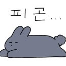정태훈 내과 앞 네이버블로그
