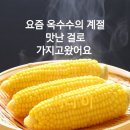 해후 국장님 방가워요 이미지