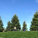 연세기쁨정형외과의원 이미지