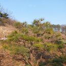 정암농장 이미지