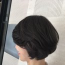 베이지 앤 브라운 이미지