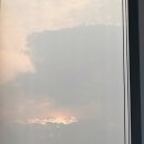 카페 파라 이미지