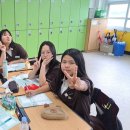 진도중학교 이미지