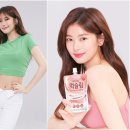 포레스트 다이어트 이미지