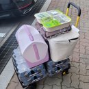 코스트코 구르마! (스탠리 접이식 폴딩 핸드 카트 / 손수레)