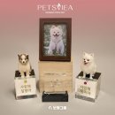 보석그룹