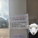 전남대학교 보건진료소 | 광주코로나검사 / 광주밀접접촉자 PCR 후기 / 밀접접촉자 기준(feat.광주코로나검사병원, 밀접접촉자...