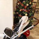 uppababy crus v2 한아이 사용 2022년도 구매 $600 이미지