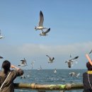 신흥글로벌(주) | [연차없이 떠나는 2박 3일 대련 여행] 대련 여행 계획 전 보면 도움 되는 2박 3일 동안 먹기만 한 대련...