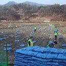 자원농장 이미지