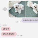 위드두유 이미지