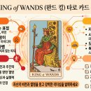 킹 (KING) 티스토리