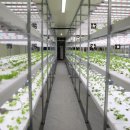 남서울대 이미지