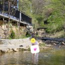 숲속개울가 이미지