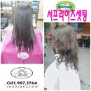 우아헤어살롱 네이버블로그