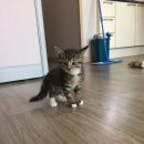 TEAM낭만다이버