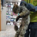 북비산로 이미지