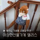 제주 기념품 이상한선물가게앨리스 공항 근처 소품샵 쇼핑 추천