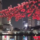 호수공원4 수변마루 | 석촌호수 벚꽃축제 방문 후기 4.3 (금) - 4.11 (토)