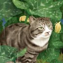 우산쓴고양이 이미지