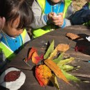 부강어린이집 이미지