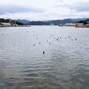 사등면사무소 이미지