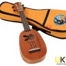 플레이 우쿨렐레 이미지