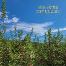 모싯골농장 이미지