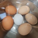 공임나라 영천완산점 | 4인가족 성장기아이들밥상(냉파식단, 워킹맘, 월식비 75만원)