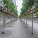 자담농장 이미지